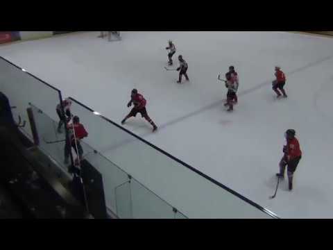 HC Vipers/TSK B – HC Panter B  3:4   20.03.2019 (2 part)