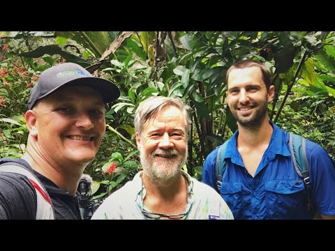 30 Year Old Food Forest in Costa Rica: Durian, Mangosteen + 200 More