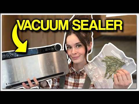 VACUUM SEALING could be the BEST THING for your KITCHEN! GUIDE