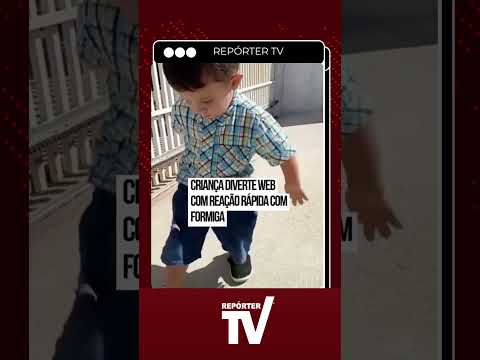 Melhor que dedetização: Henrique resolve problema com formiga e vídeo viraliza