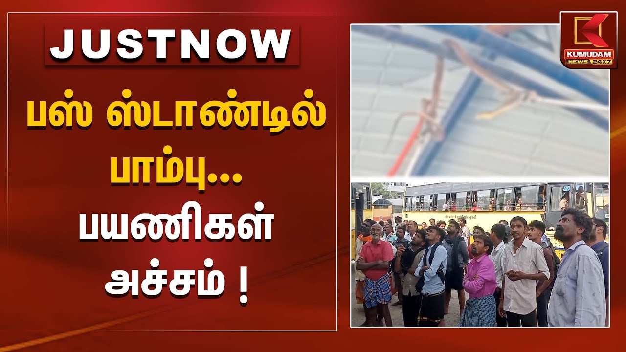 பஸ் ஸ்டாண்டில் பாம்பு – பயணிகள் பீதியில்! | Kumudam News