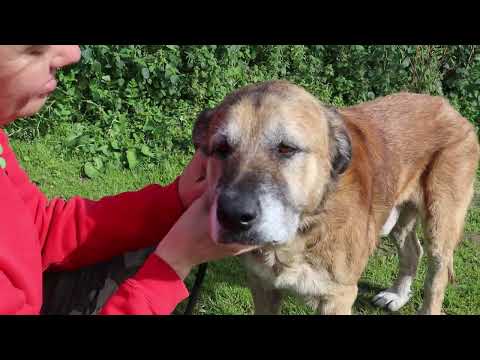 Vídeo de NAKO
