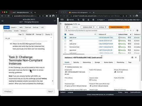 AWS Academy Cloud Operations (SysOps) Module 10: Lab 7 - Managing Resources with Tagging
