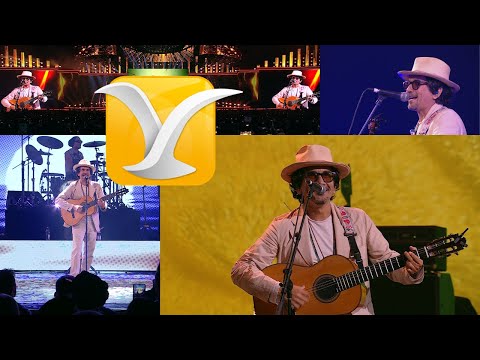 Bacilos - Presentación Completa - Festival de la Canción de Viña del Mar 2025 - Full HD 1080p