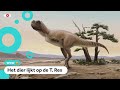 Nieuwe dino soort ontdekt: 'Sterkste roofdier dat toen leefde'