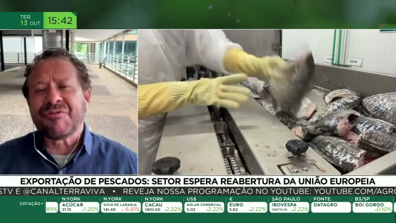Exportação de pescados: setor espera reabertura da União Europeia