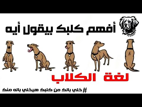 , title : 'لغة الكلاب / لغة الجسد للكلاب / اسرار لغة الكلاب / افهم كلبك بيقول اي / سامر غازي'