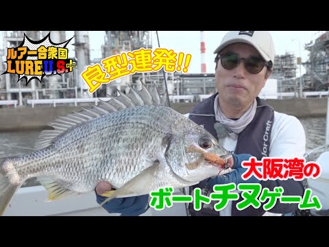 良型連発‼️大阪湾のボートチヌゲーム!(ルアー合衆国プラス/2023年7月8日放送)