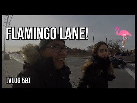 FLAMINGO LANE!