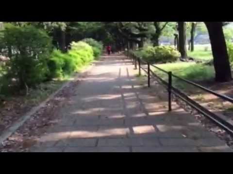 JCC Japanese Culture Channel 日本紹介（日本語字幕）