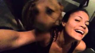 Ataque de Amor Perruno