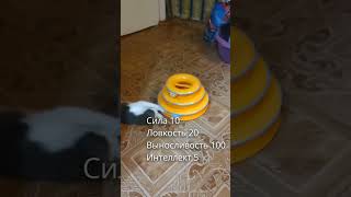 #rpgcat #mortalkombat #cats #skills #cute #funnycats #cutecat