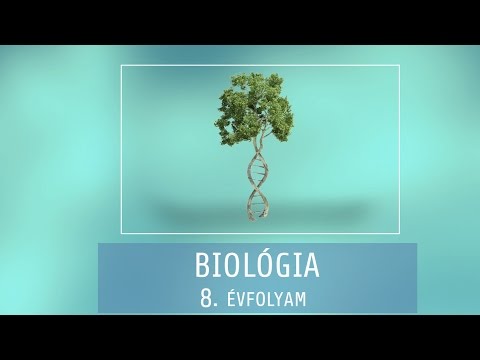 emberi boncparaziták