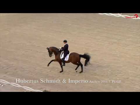 Haupt- und Landgestüt Schwaiganger - Imperio