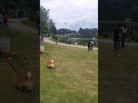 Circuito caminhos do Paraná Fazenda Rio Grande PR #viagens#motorhome#paseio #campismo#expomotorhome