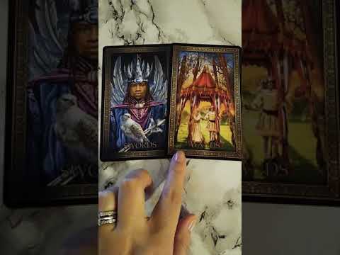 Daily #tarot advice September 23rd and 24th 2019
