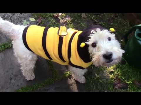 Edward Barton - Red Balloon