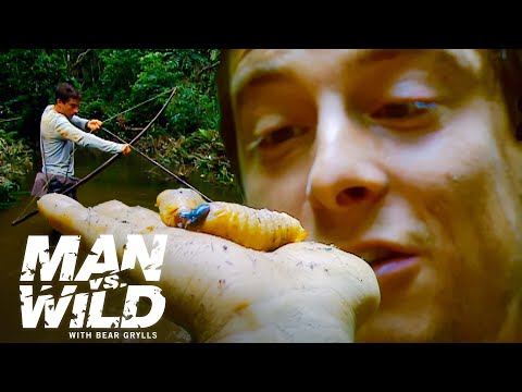 Bear Grylls Eats the Biggest Grubs He's Ever Seen | Man vs. Wild