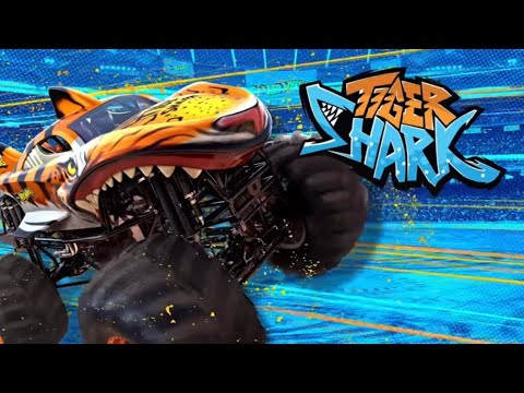 Fear the Frenzy (Tiger Shark theme song)