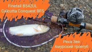 Major craft finetail fts-b542ul