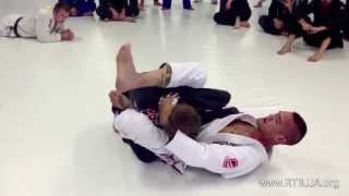 Armbar Techniques to Improve your BJJ Game