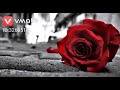 Mere Saathi Mere Dilbar Whatsapp Status