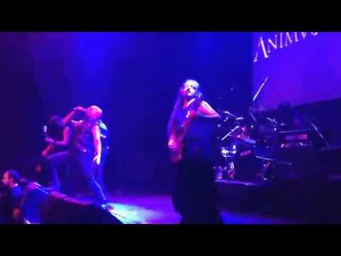 Animus Mortis - Lvx (Nargaroth en Chile)