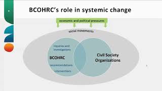 Systemic Discrimination Part 2: What we can do. Module 1