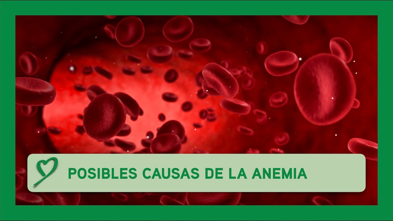 Pilar Fernandez-Montesinos Aniorte-7