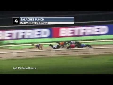 2019 LPS NATIONAL SPRINT - 2ND SEMI - T4 SALACRES PUNCH