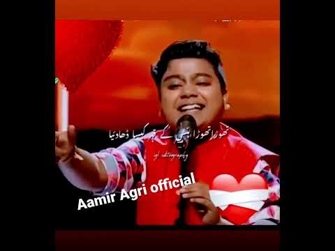 dil gaya dil gaya le gaya sanam
