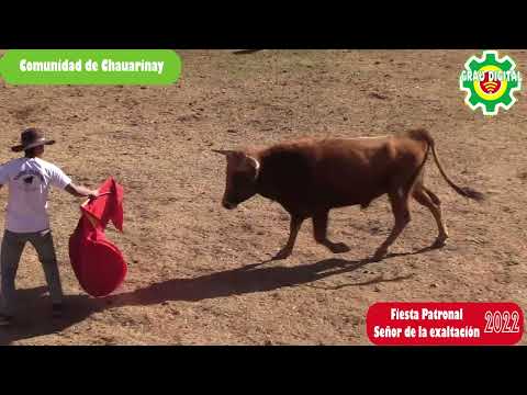 🐃🐃Gran Corrida de Toros en la Comunidad de Chauarinay 20 09 2022