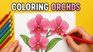 "How to Draw and Color an Orchid 🌸 | Easy Art Tutorial"