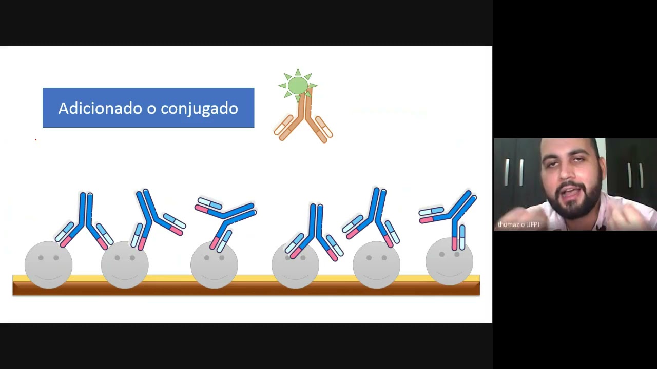 Imunologia - Imunofluorescência Indireta (resumo)