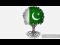 National Anthem Of Pakistan Coke Studio