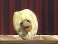 Classic Sesame Street The OTHER Flower Pageant