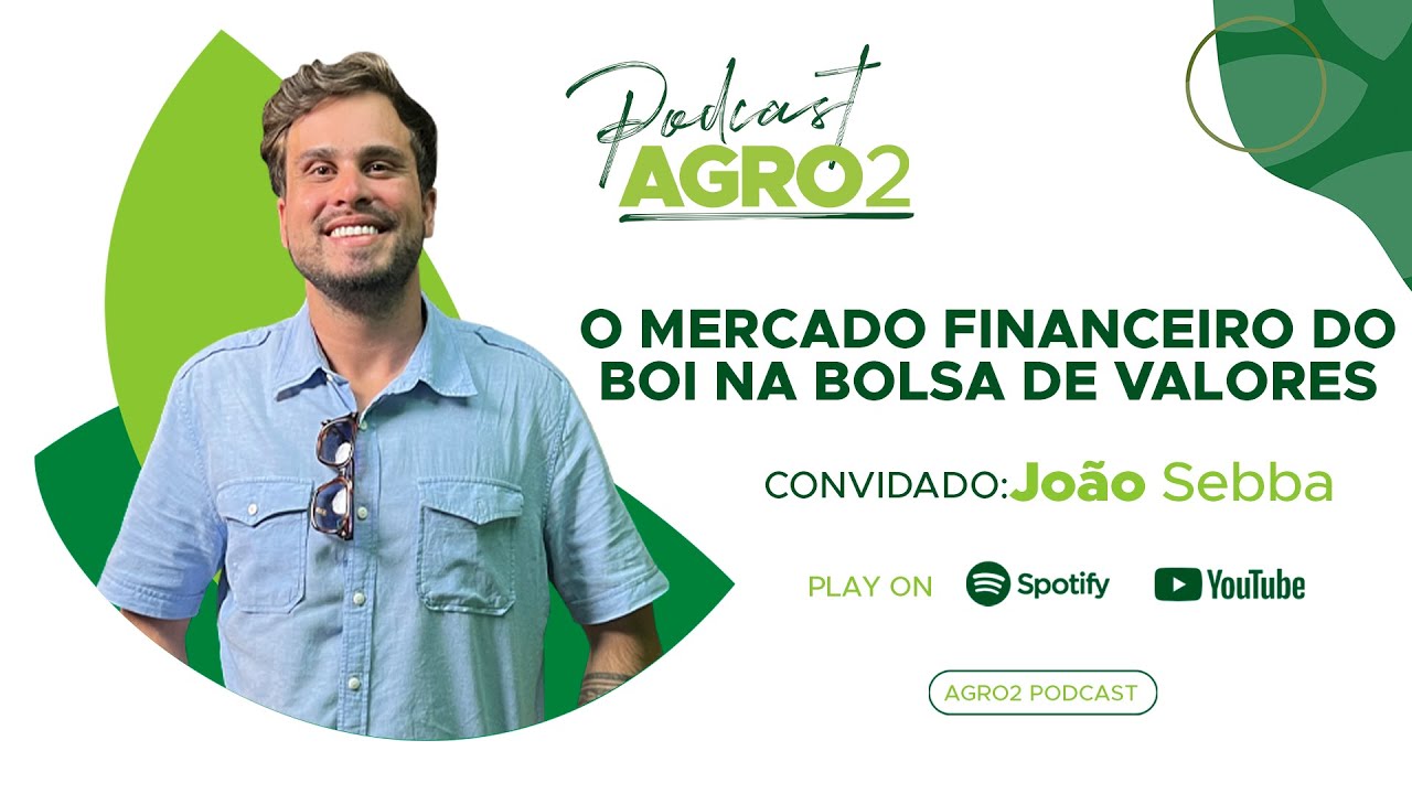Como operar na bolsa de valores e diminuir riscos da pecuária de corte no mercado físico #190