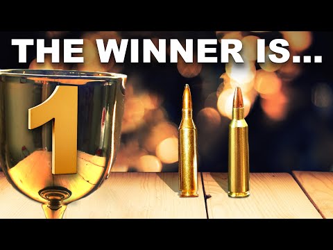 243 Win vs. 22-250 Rem - Season 2: Episode 84