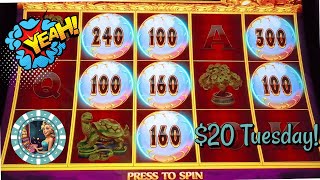$20 Slot Challenge: Can You Win Big?