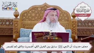 [205] معنى حديث: أن النبي ﷺ سابق بين الخيل التي أُضمرت والتي لم تُضمر - عثمان الخميس