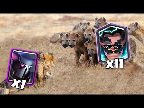 Electro Wizard needed to counter PEKKA? ⚡