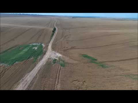 1 km Teleorman. Bebop 1.