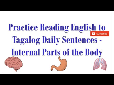 Practice Reading English to Tagalog Daily Sentences - Internal Parts of the Body