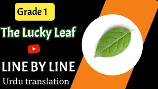 Grade 1| Unit 2 | The Lucky Leaf | Complete translation | Oxford New Modern English | Lecture 08