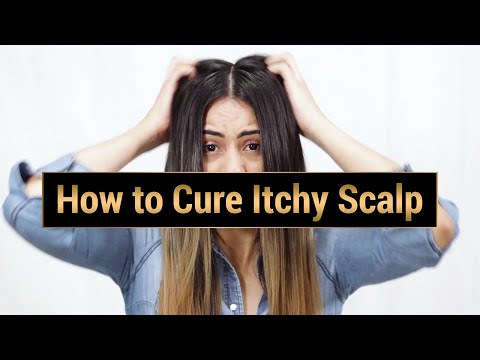 How to Cure Itchy Scalp (TextStyle)