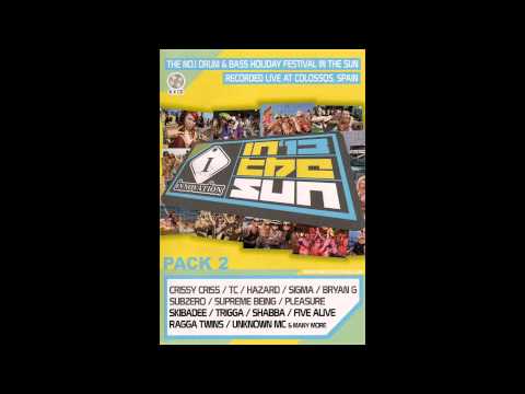 Bryan Gee @ Innovation In The Sun 2013