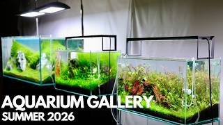 Miniatura filmu z YouTube