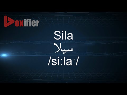 How to Pronunce Sila (سيلا) in Arabic - Voxifier.com
