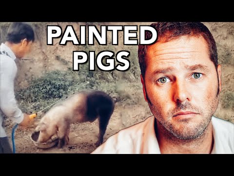 YouTube video