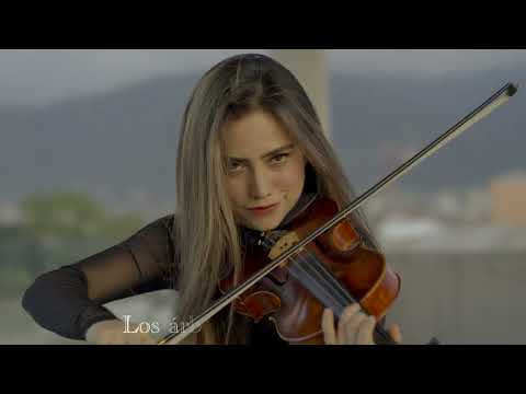 MOLINOS DE VIENTO - ARCANO